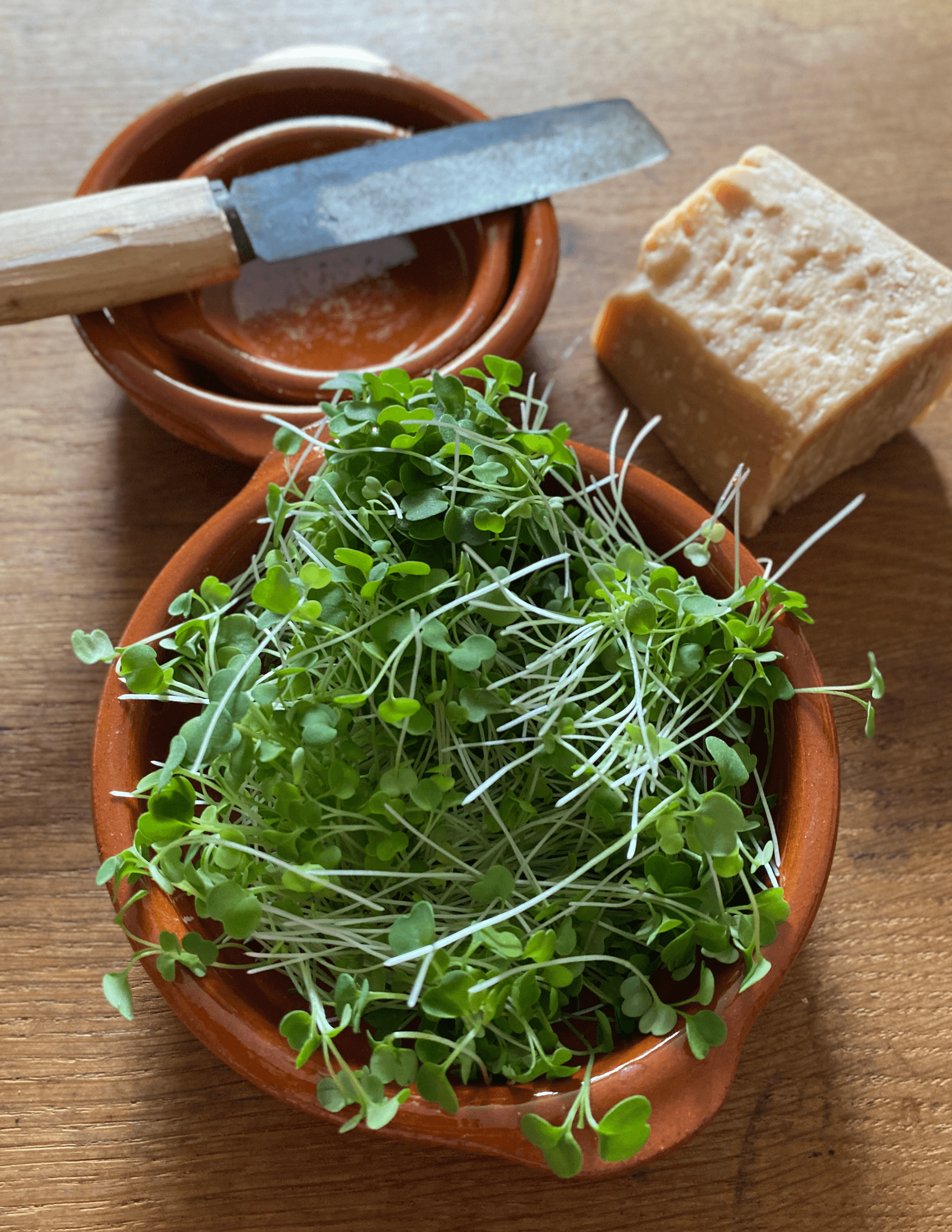 Fresh microgreens 6